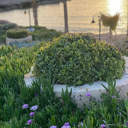 Royal Seacrest а203 Sea View * Paphos