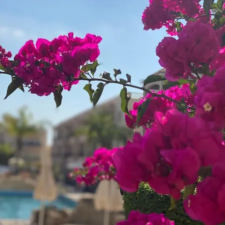 Апартаменты Royal Seacrest а203 Sea View Пафос