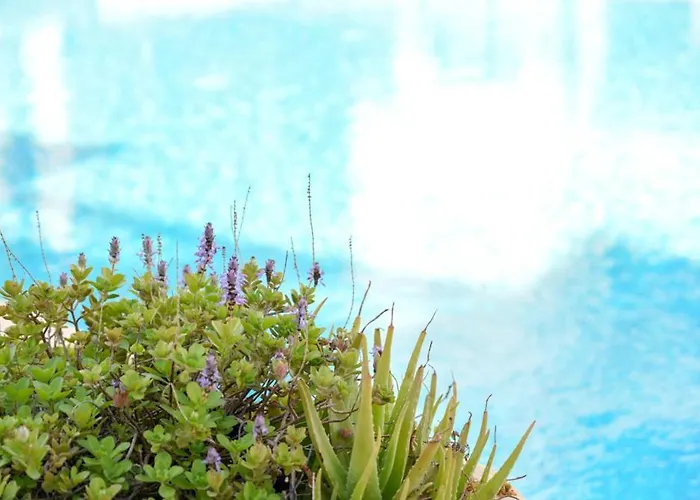 Apartmán Royal Seacrest а203 Sea View Paphos