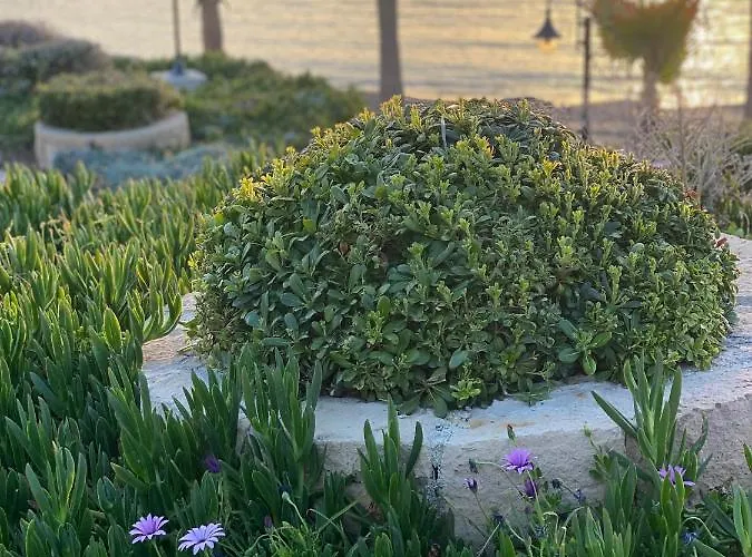 Royal Seacrest а203 Sea View * Paphos