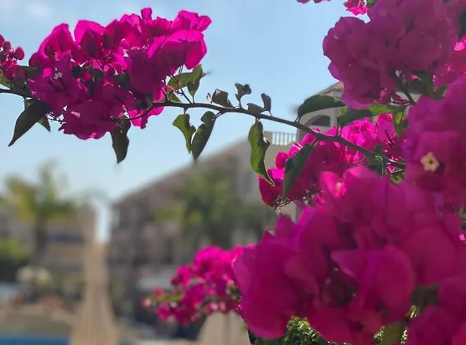 アパート Royal Seacrest а203 Sea View パ フォス