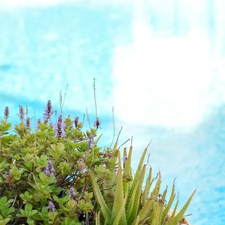 Apartmán Royal Seacrest а203 Sea View Paphos